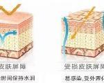 《涡流效应》游戏玩家测评（感受真实飞行体验）